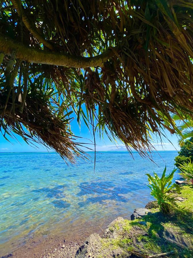 O'Coco Bungalow- Breathtaking Waterfront Views, Endless Memories Paea ภายนอก รูปภาพ
