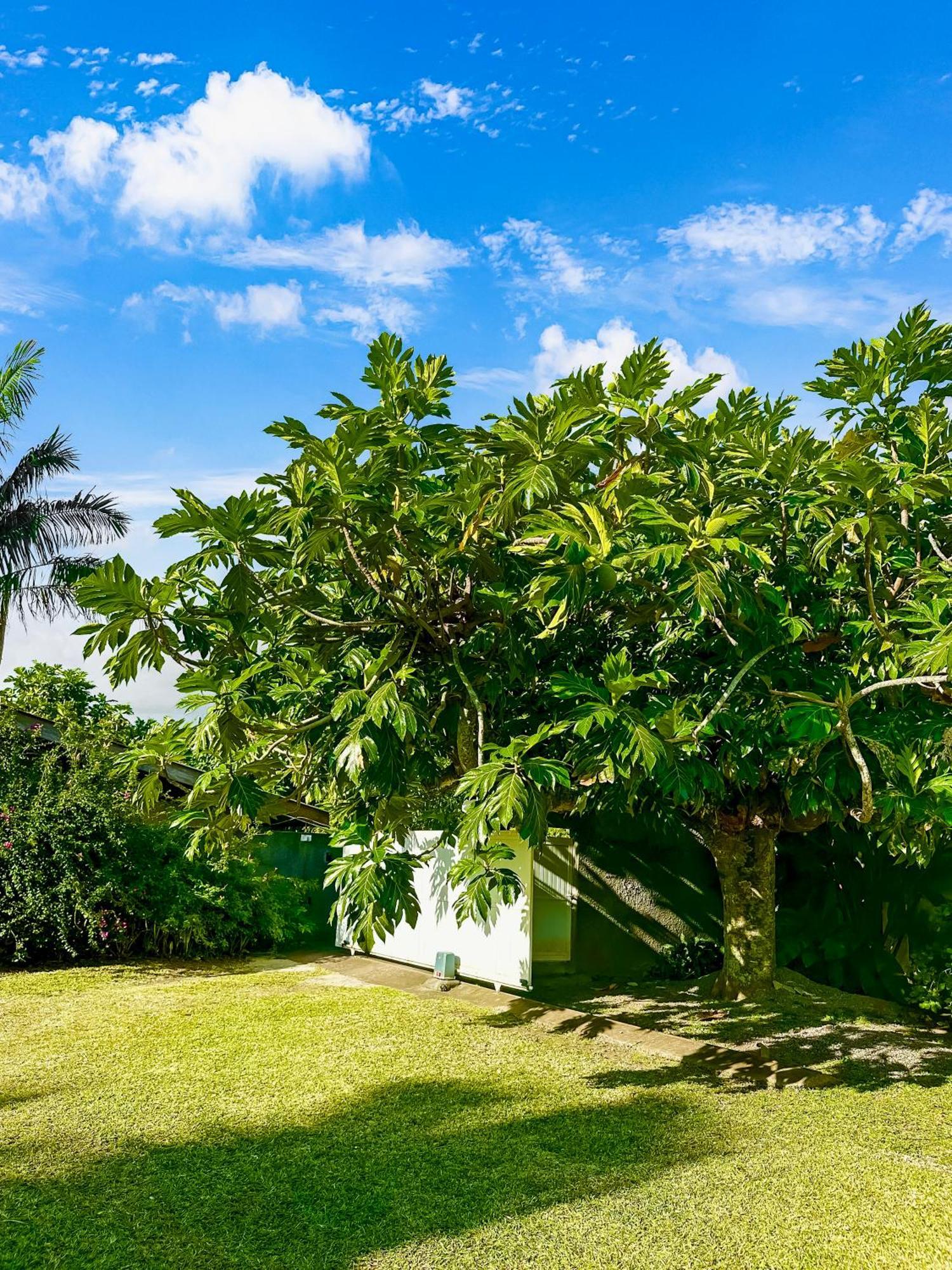 O'Coco Bungalow- Breathtaking Waterfront Views, Endless Memories Paea ภายนอก รูปภาพ